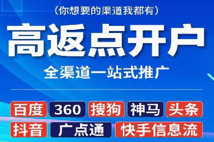 行业领先企业的SEM广告投放策略案例