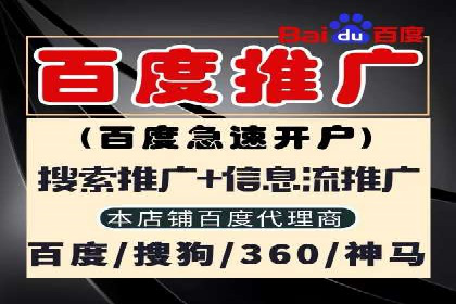 谷歌竞价案例：成功案例分析及启示